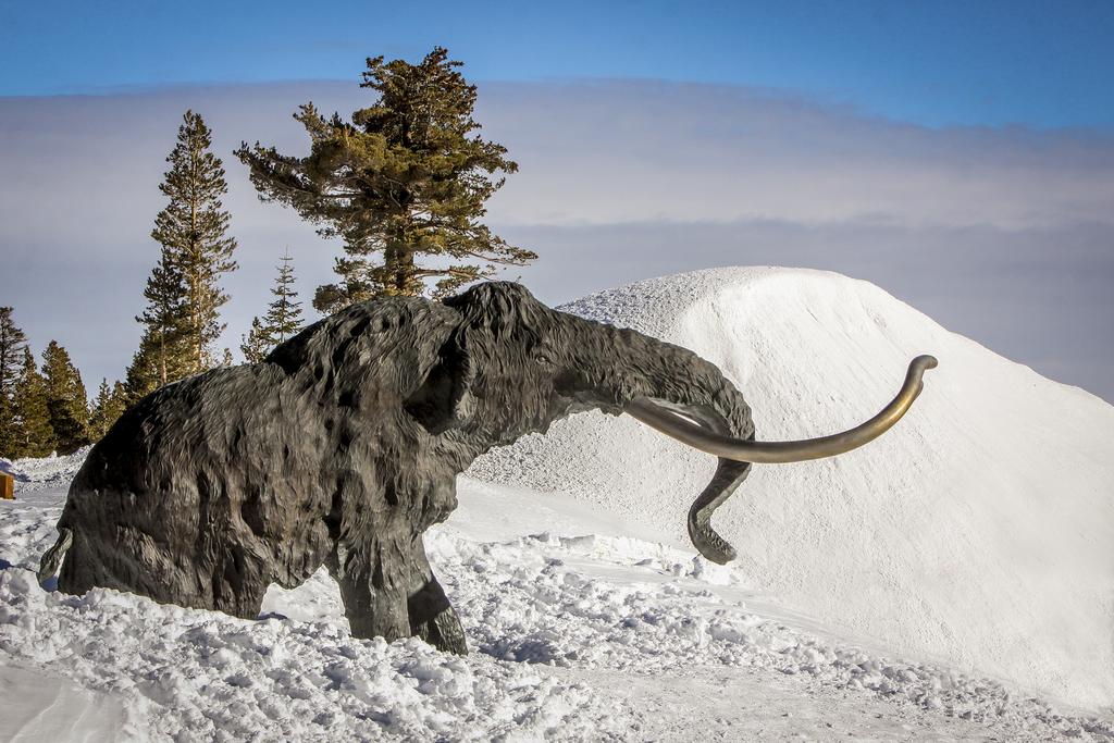 Mammoth Pines 11 - thumb 3