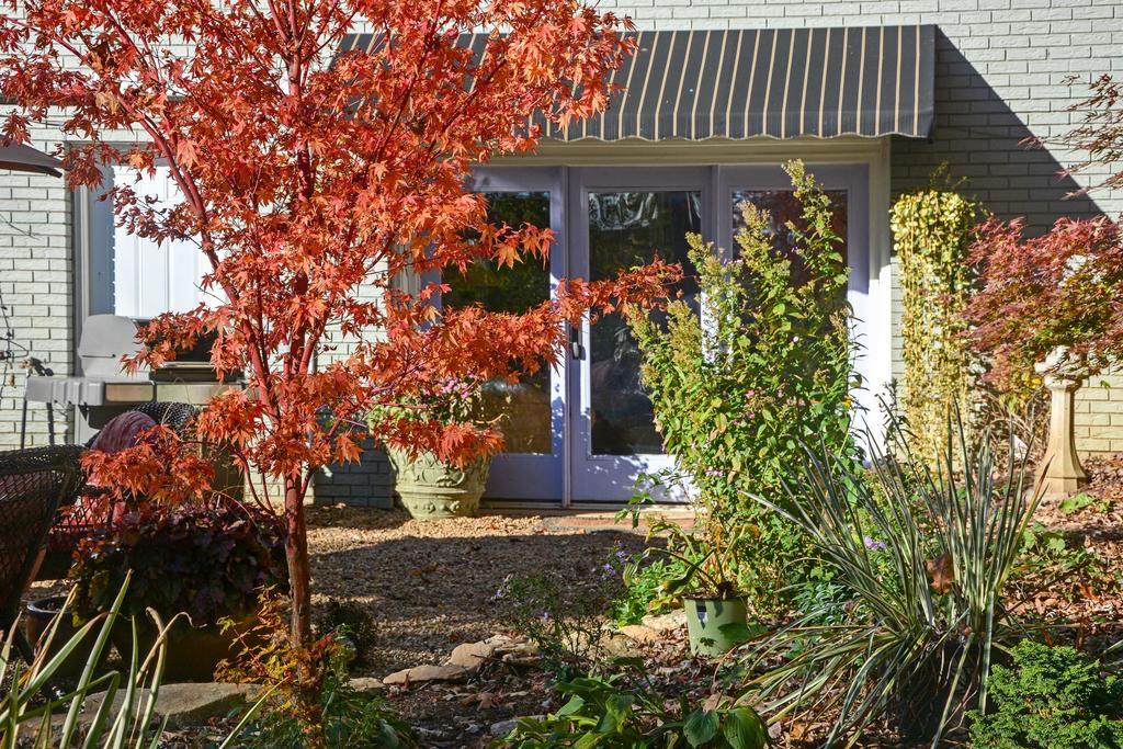 Mills River Apartment Close To Asheville And TIEC! - thumb 1