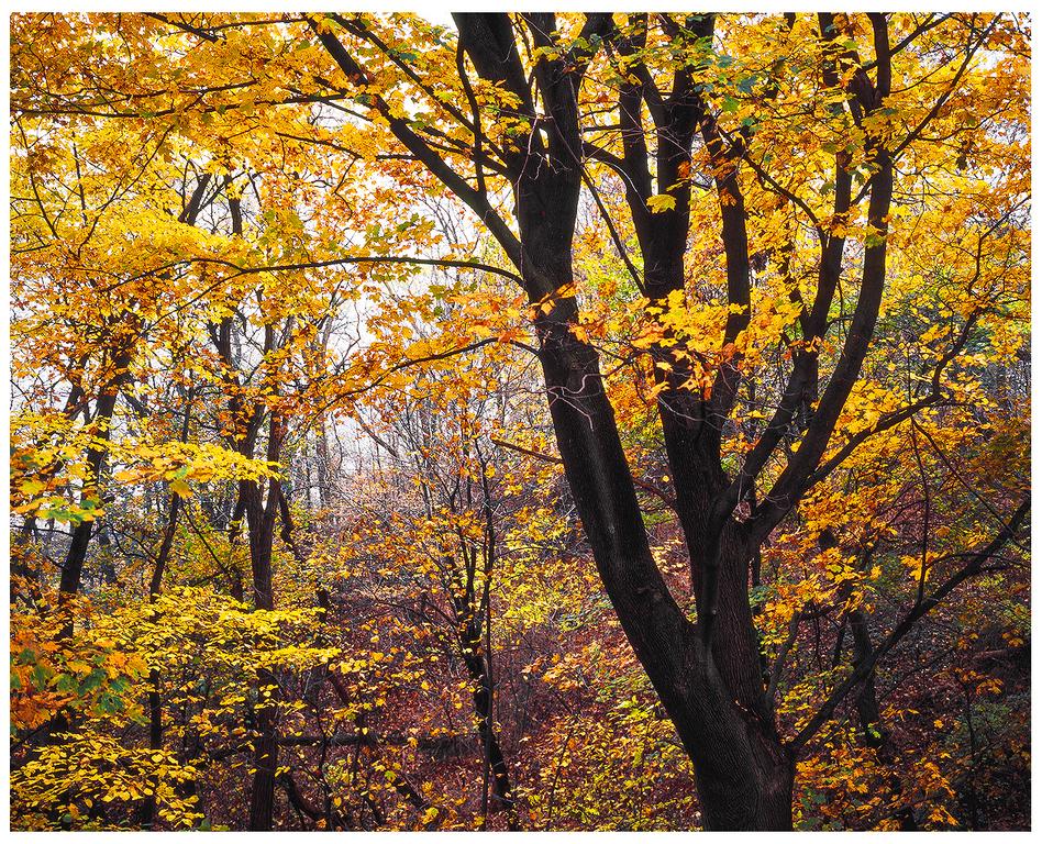 Navajo Cabin - thumb 2