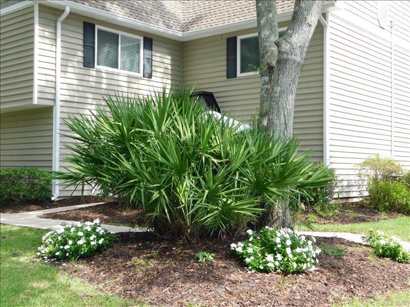 Ocean Walk Resort 2 Bdrm Townhome MGR American Dream - thumb 1