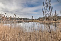 Pet-Friendly Historic Preston Home Near Casinos Accommodation Alabama