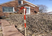 quaint  cozy near offuttbasement apt no shares Accommodation Alabama