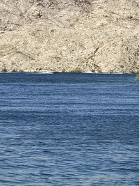 Resort Home Accommodation Alabama