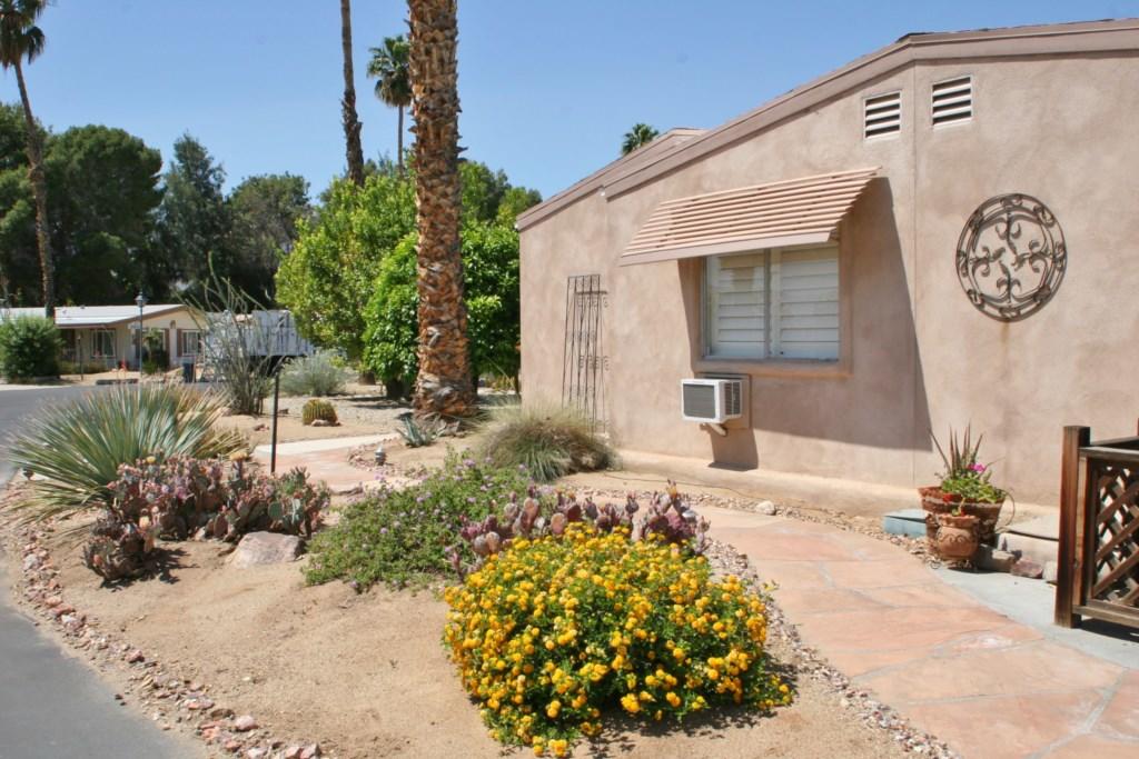 Roadrunner Club 249 Home - thumb 0