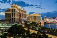 StripViewSuites at Jockey Club Accommodation Alabama