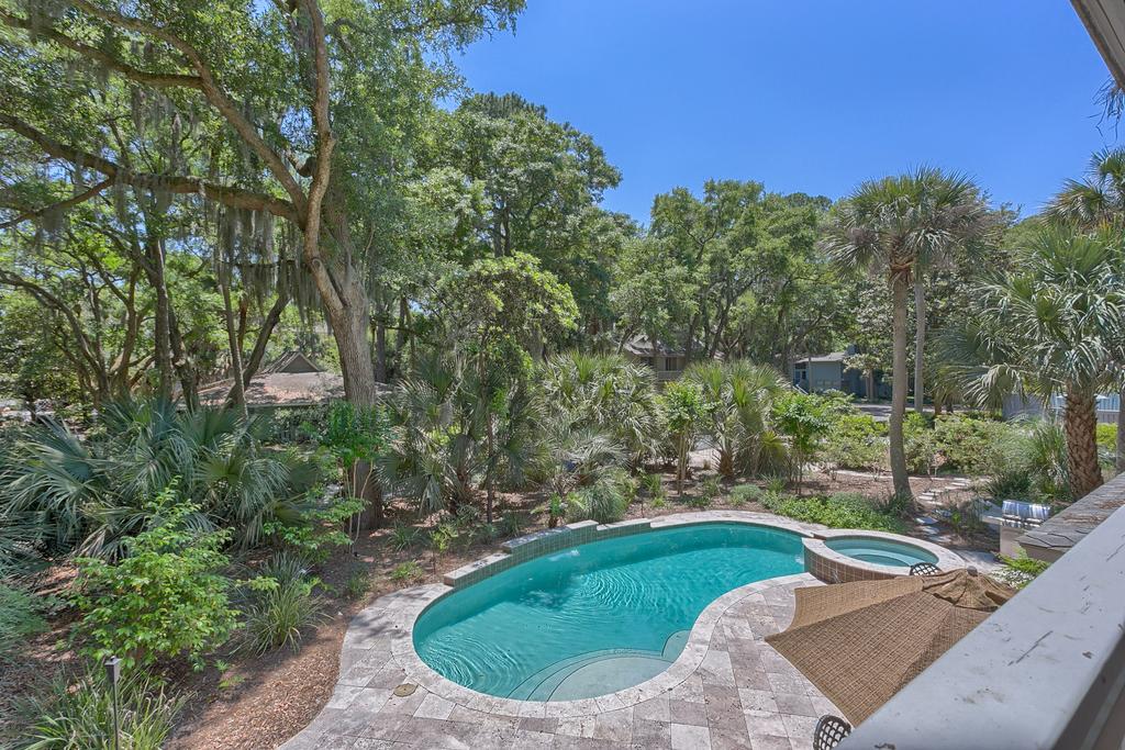 Surf Scoter 12 - thumb 0