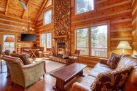 Timber Wolf Accommodation Alabama