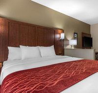 Comfort Inn  Suites Montgomery East Carmichael Rd - Accommodation Alabama