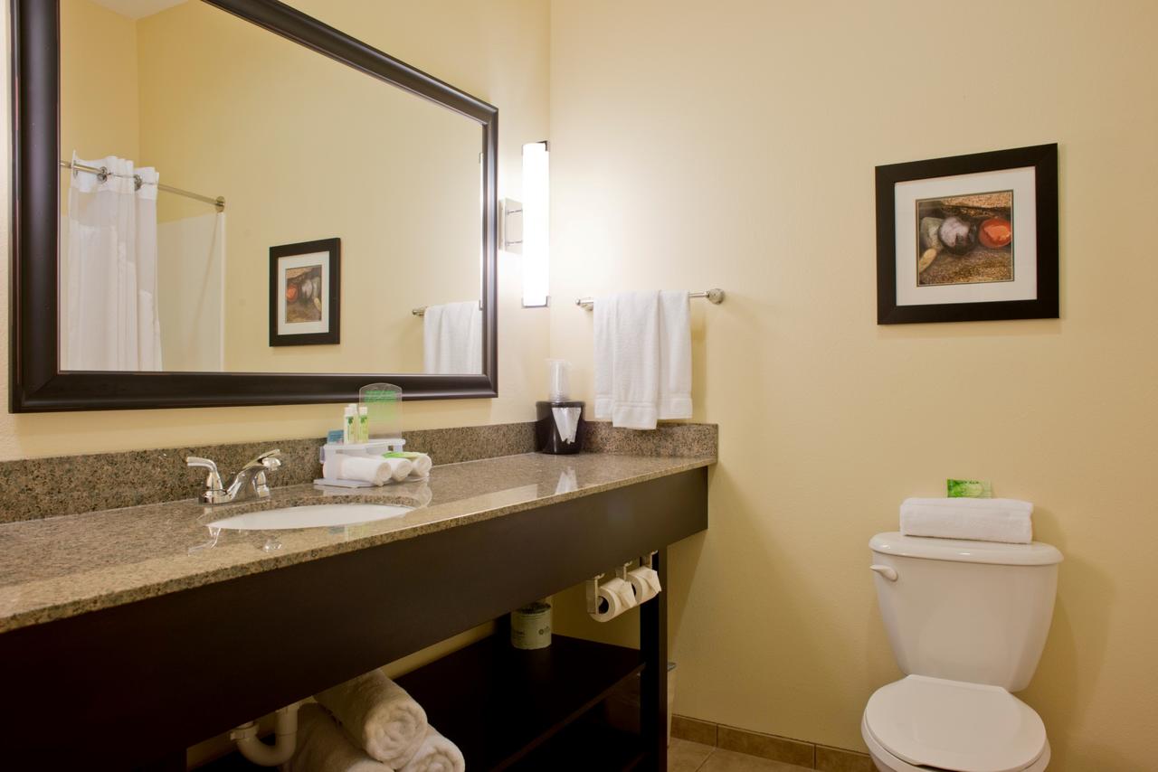 Holiday Inn Express Hotel & Suites Prattville South - thumb 23