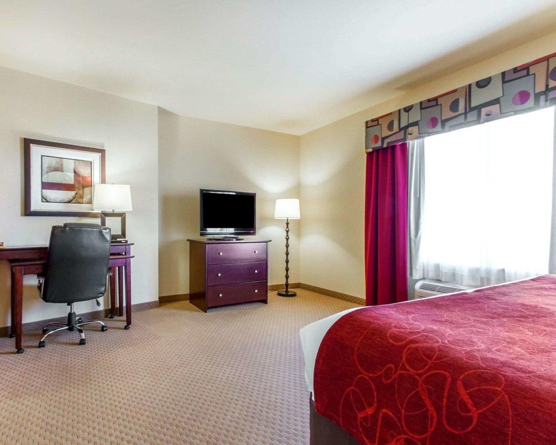 Comfort Suites Florence Shoals Area - thumb 12