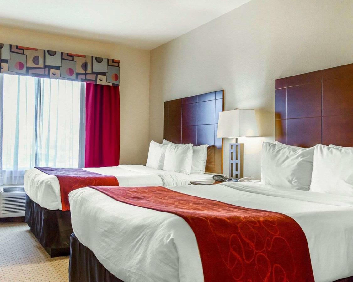 Comfort Suites Florence Shoals Area - thumb 25