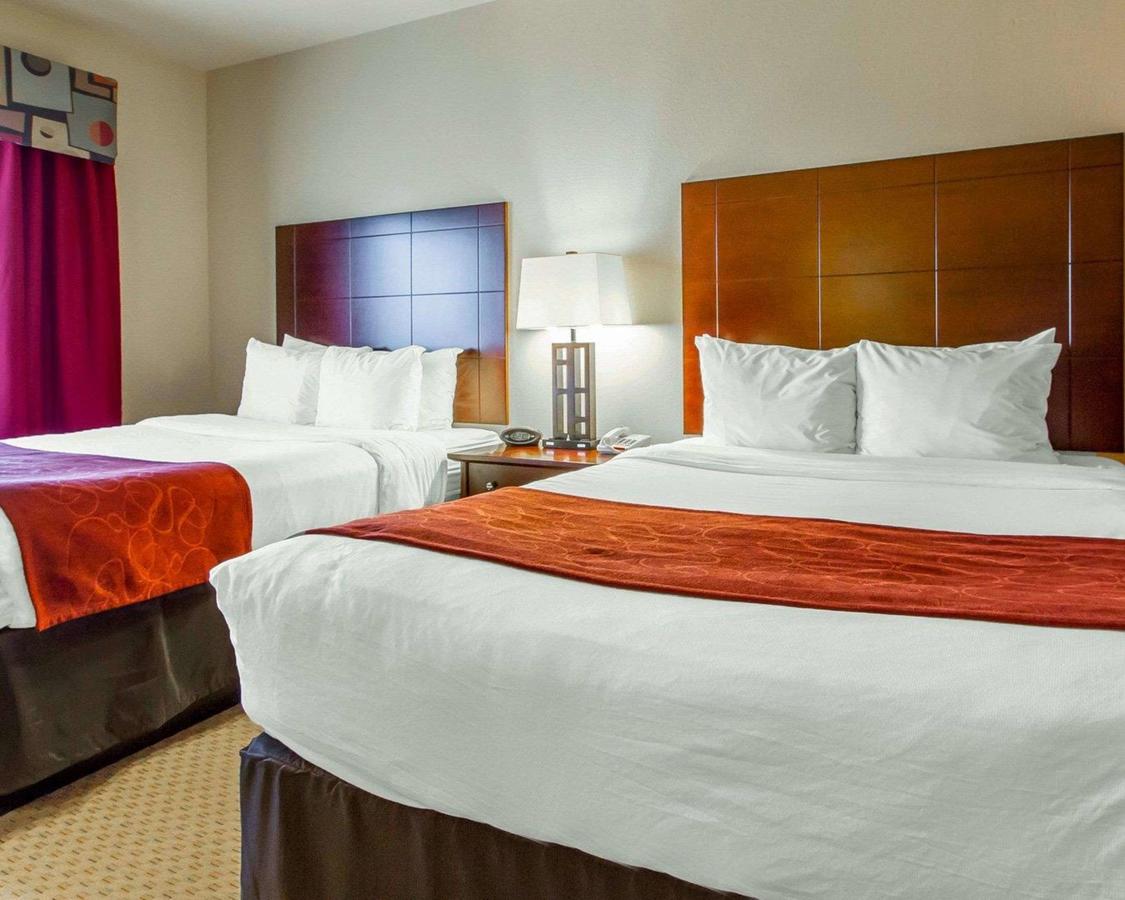 Comfort Suites Florence Shoals Area - thumb 3