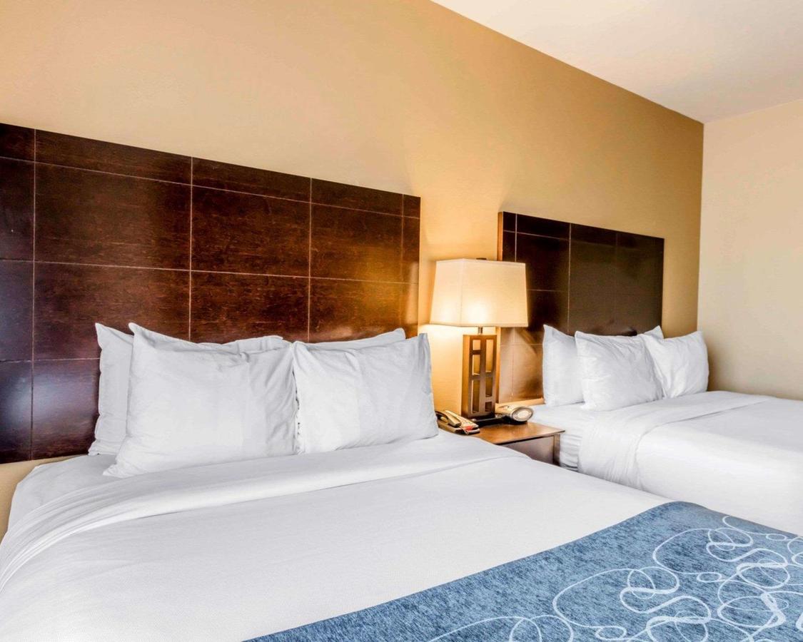 Comfort Suites Pell City I-20 Exit 158 - thumb 16