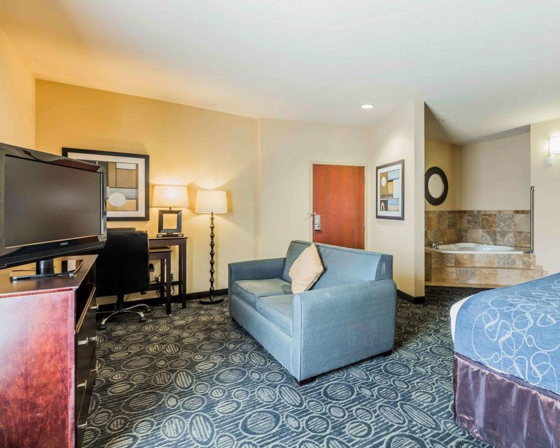 Comfort Suites Pell City I-20 Exit 158 - thumb 18