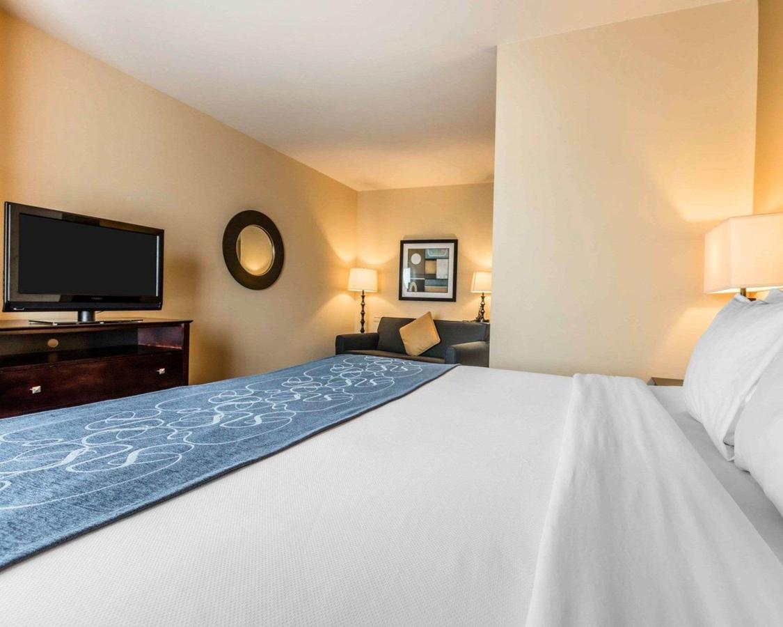 Comfort Suites Pell City I-20 Exit 158 - thumb 15
