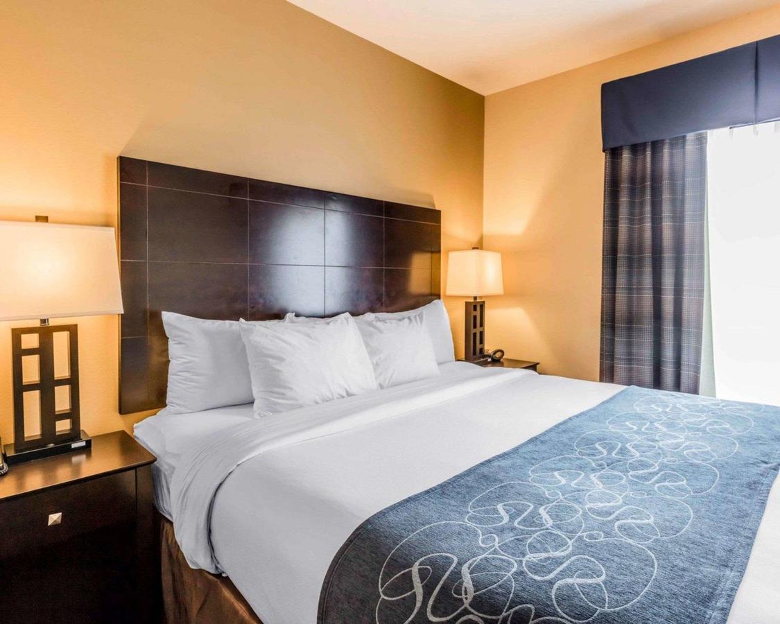 Comfort Suites Pell City I-20 Exit 158 - thumb 14