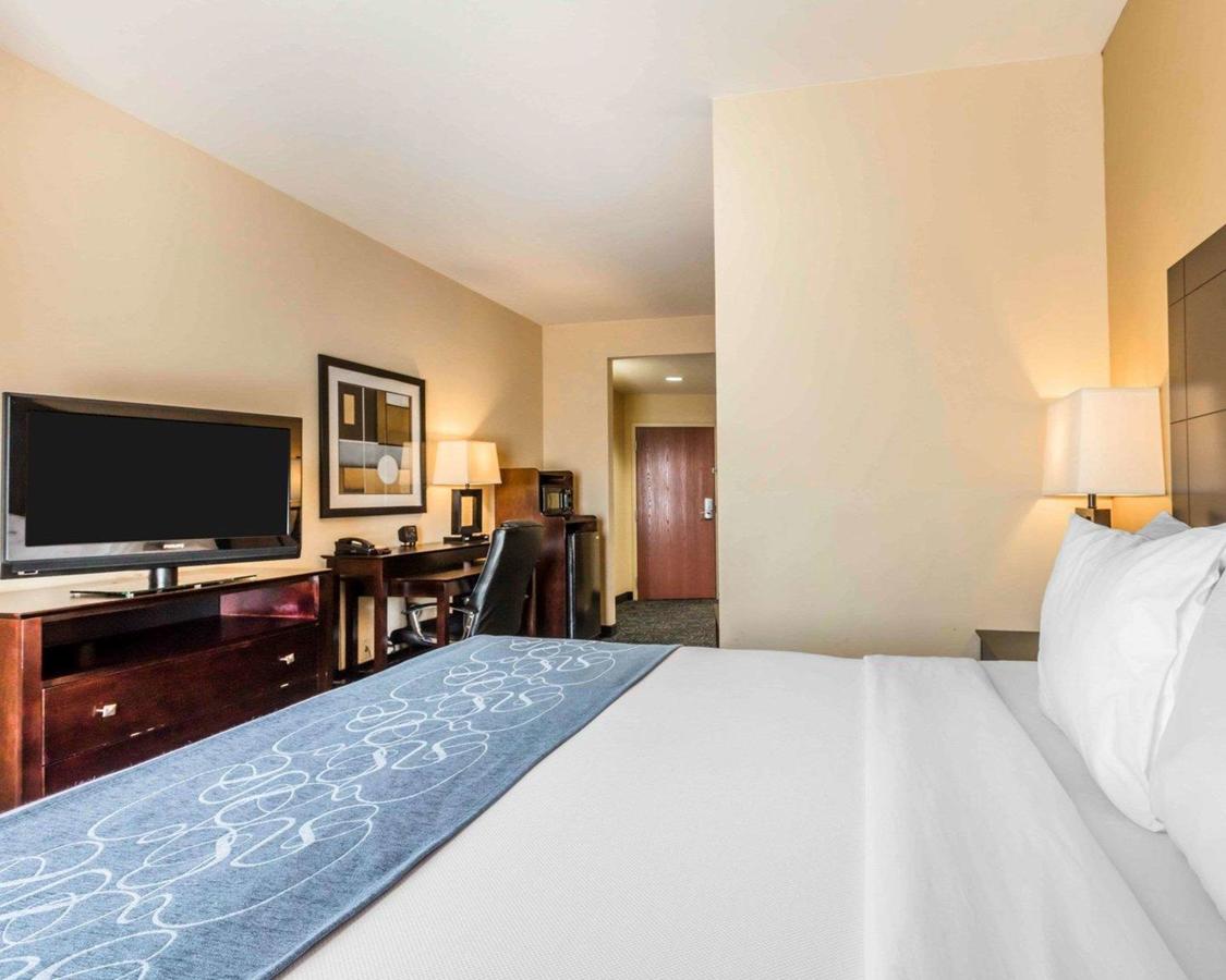 Comfort Suites Pell City I-20 Exit 158 - thumb 26