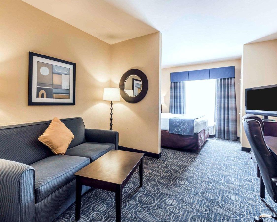 Comfort Suites Pell City I-20 Exit 158 - thumb 7