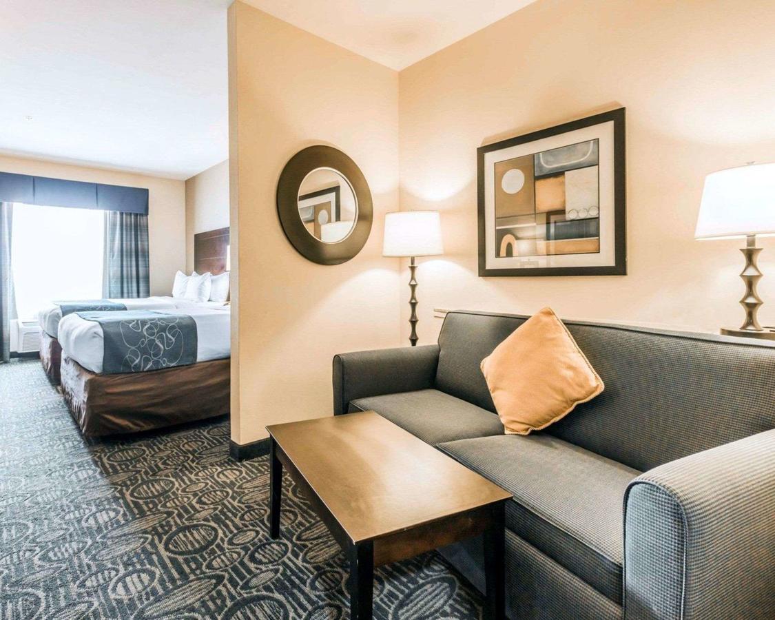 Comfort Suites Pell City I-20 Exit 158 - thumb 23