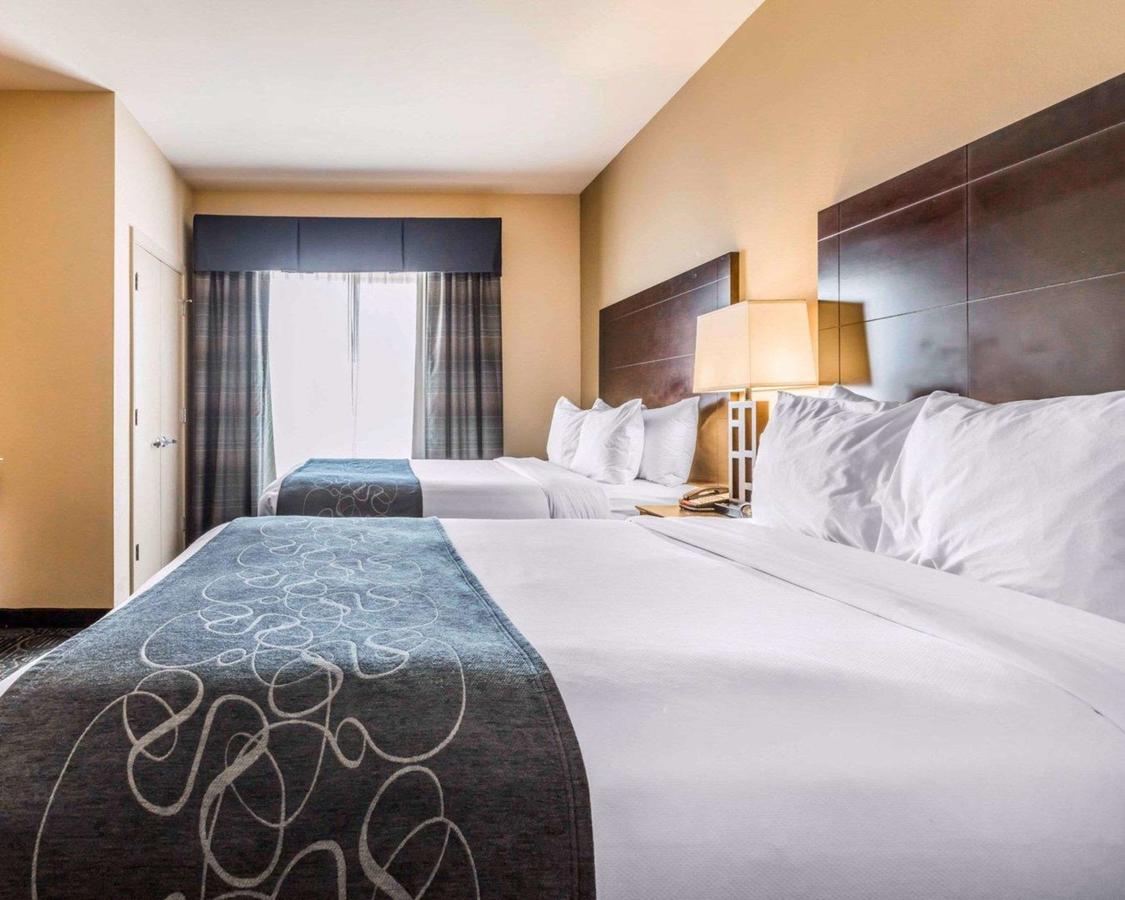 Comfort Suites Pell City I-20 Exit 158 - thumb 21