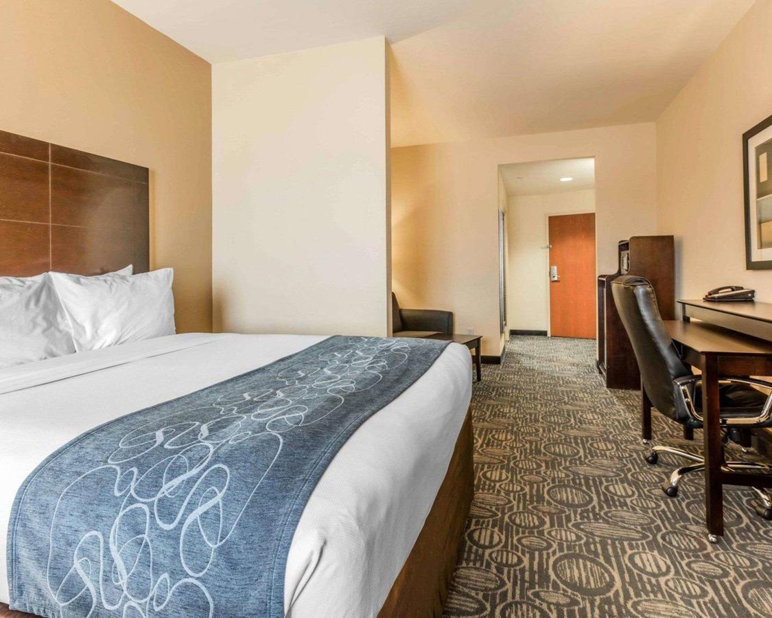 Comfort Suites Pell City I-20 Exit 158 - thumb 10