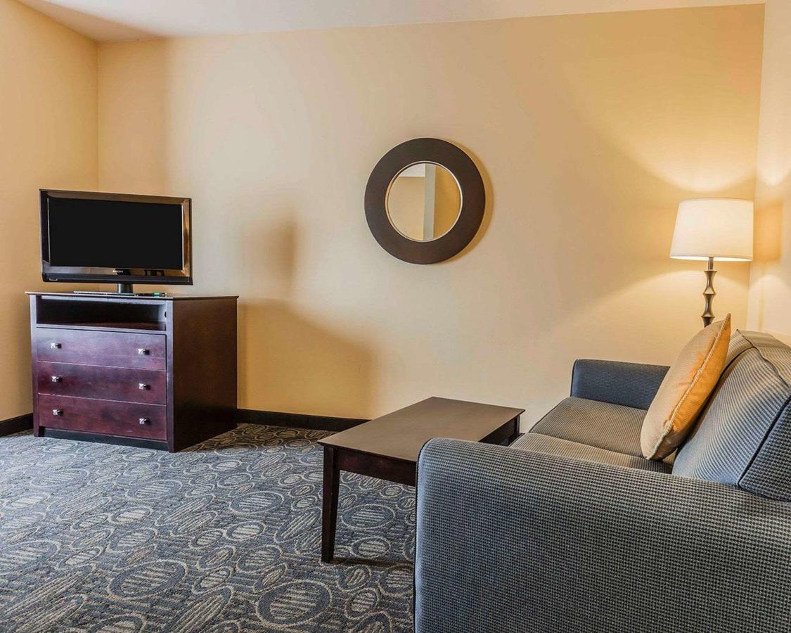 Comfort Suites Pell City I-20 Exit 158 - thumb 11