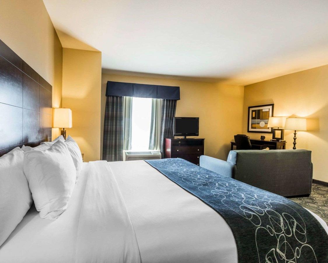 Comfort Suites Pell City I-20 Exit 158 - thumb 5