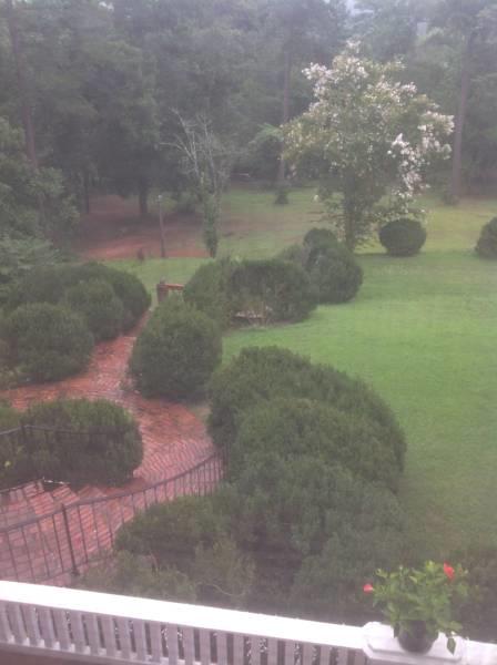 Springwood Inn - thumb 41