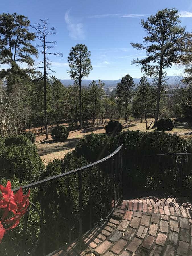 Springwood Inn - thumb 26