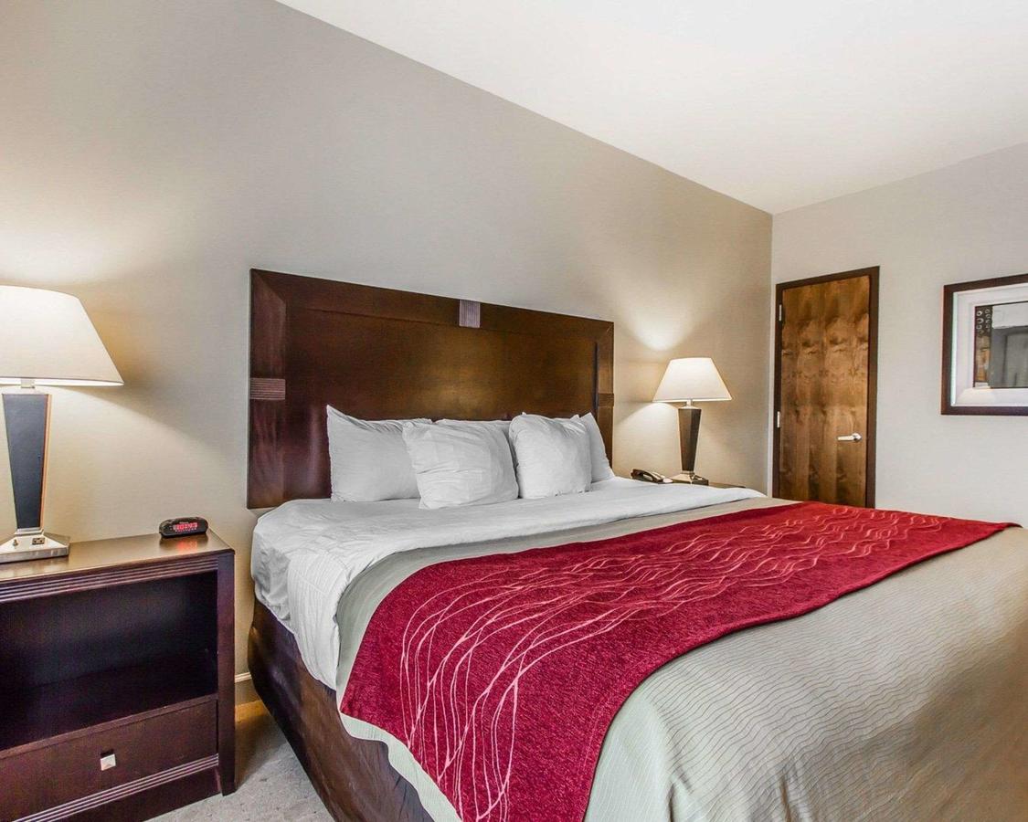 Comfort Inn & Suites Scottsboro Highway 72 East - thumb 9