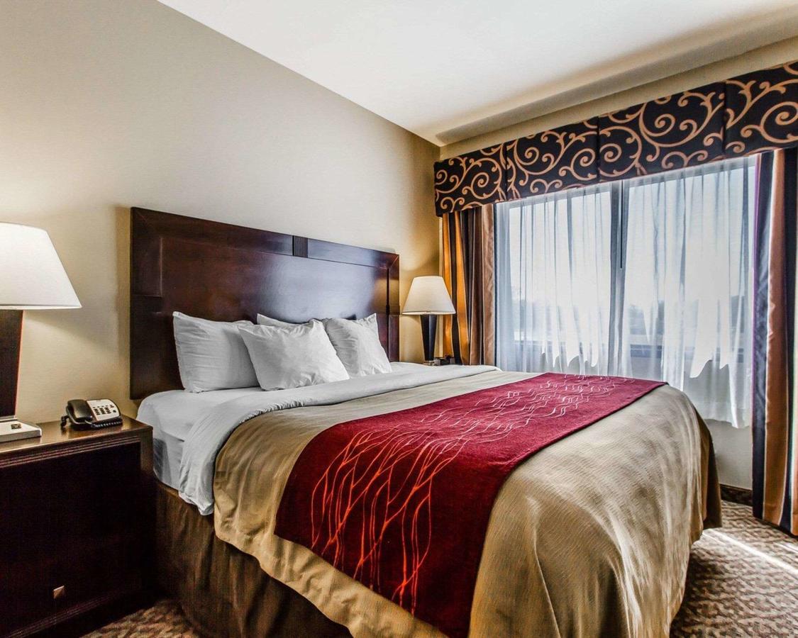 Comfort Inn & Suites Scottsboro Highway 72 East - thumb 25