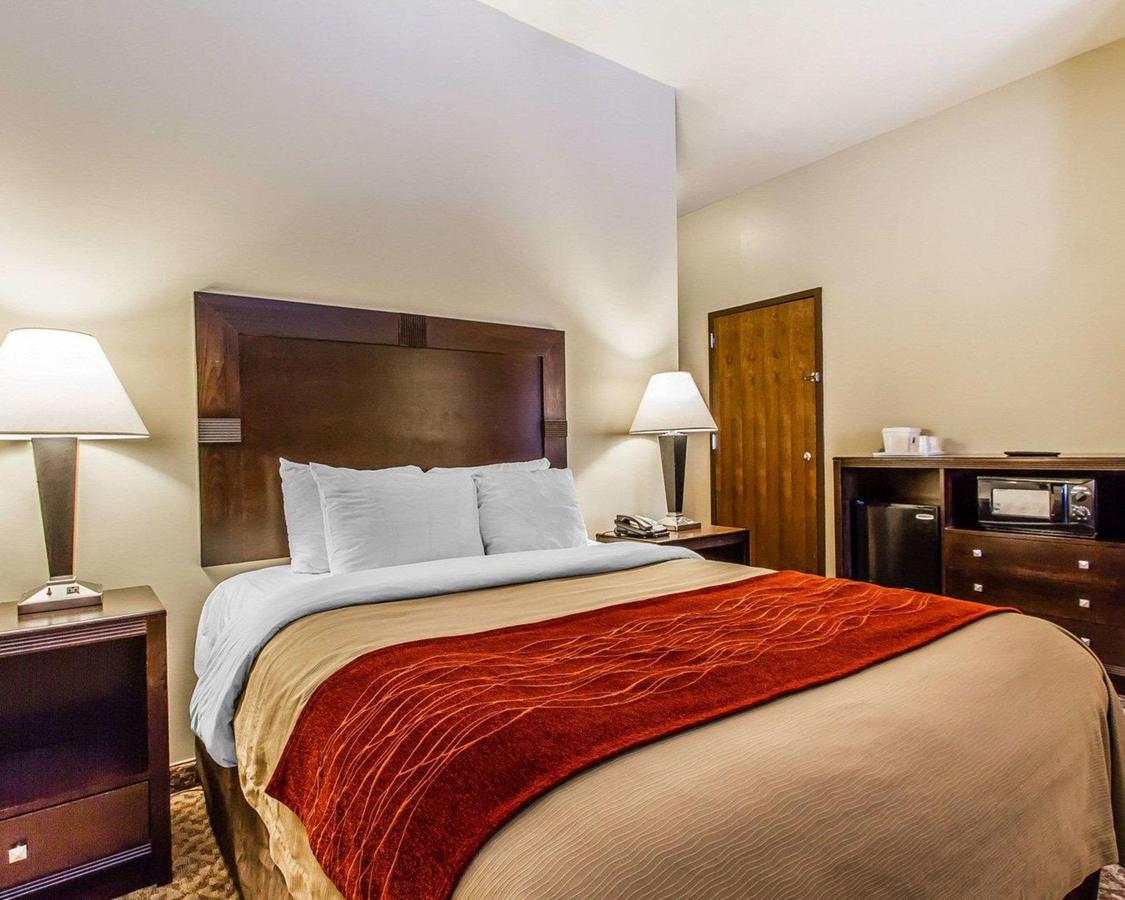 Comfort Inn & Suites Scottsboro Highway 72 East - thumb 12