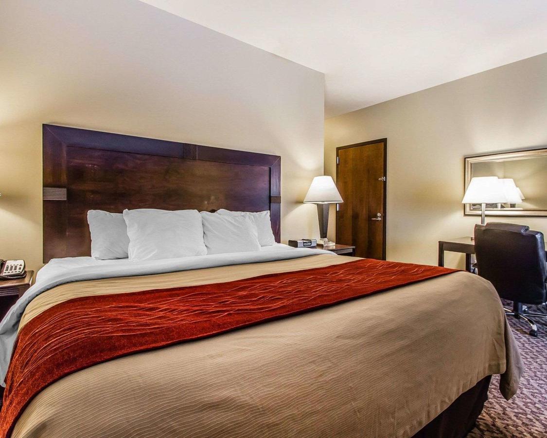 Comfort Inn & Suites Scottsboro Highway 72 East - thumb 20