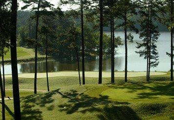 Auburn Marriott Opelika Resort & Spa At Grand National - thumb 24