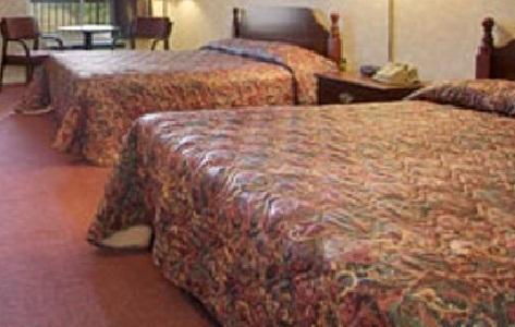 Super 8 By Wyndham Decatur Priceville - thumb 20