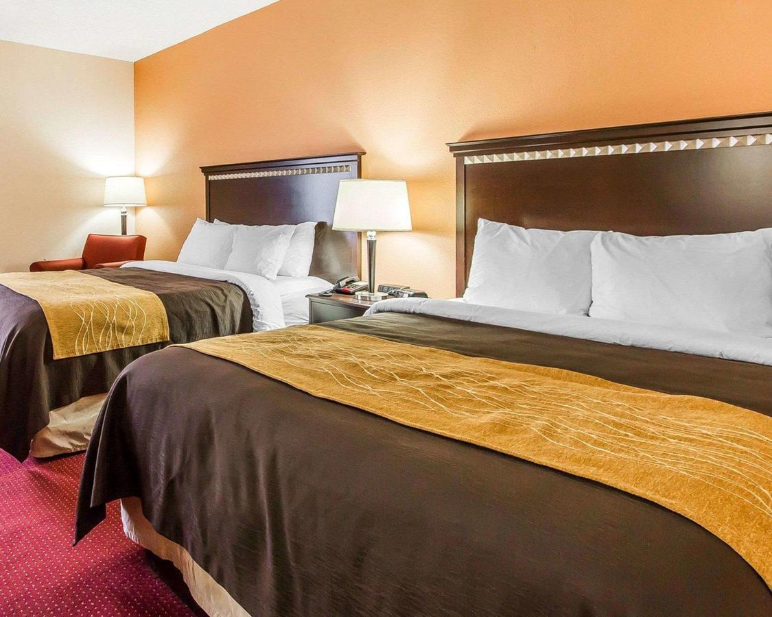 Comfort Inn & Suites Lincoln Talladega I-20 - thumb 16