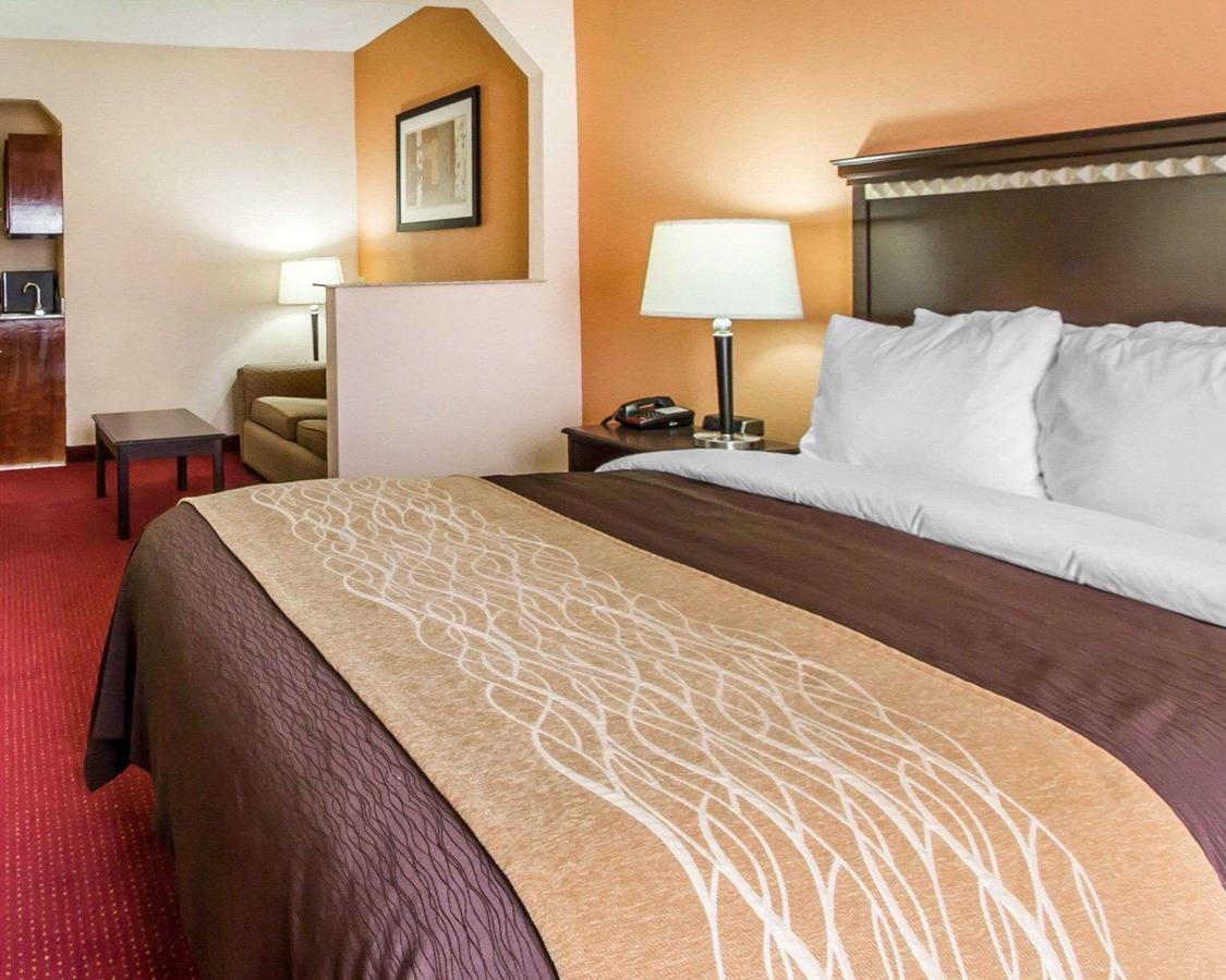 Comfort Inn & Suites Lincoln Talladega I-20 - thumb 24