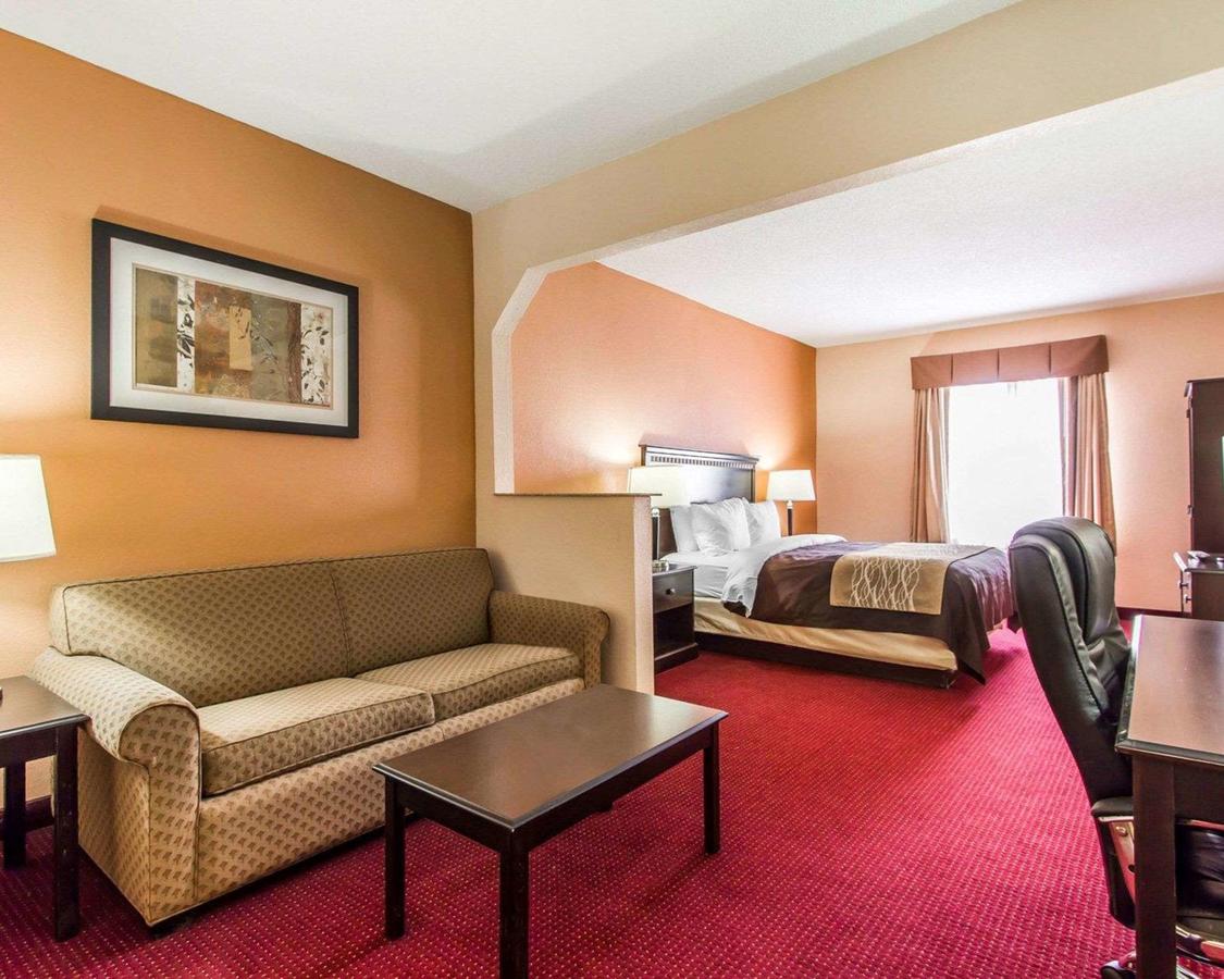 Comfort Inn & Suites Lincoln Talladega I-20 - thumb 5