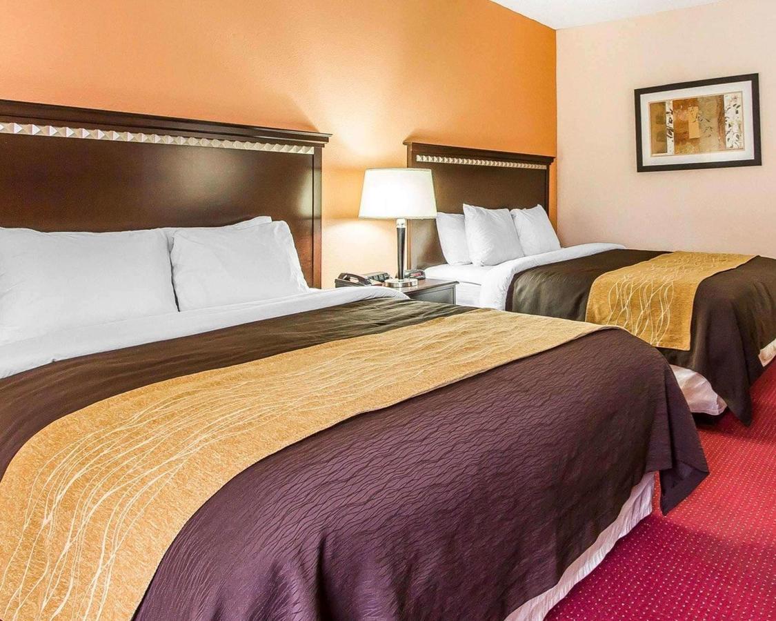 Comfort Inn & Suites Lincoln Talladega I-20 - thumb 12