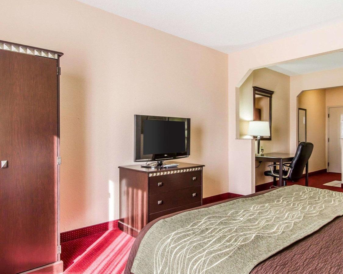 Comfort Inn & Suites Lincoln Talladega I-20 - thumb 26