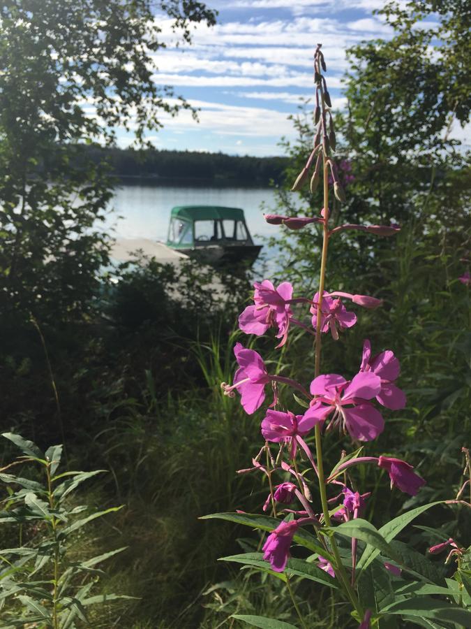 Alaska Lakefront B&B - thumb 21