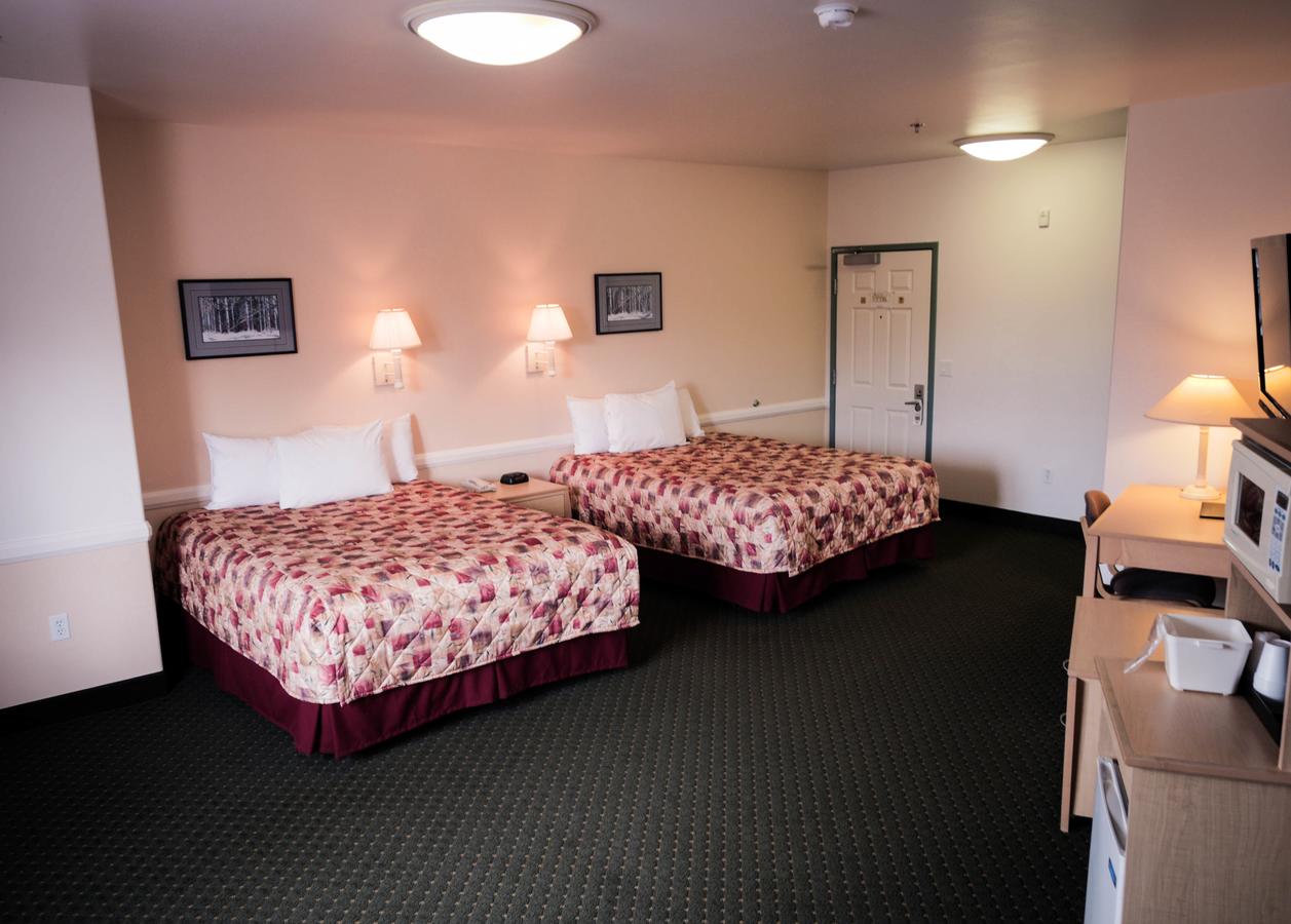 Puffin Inn - thumb 30