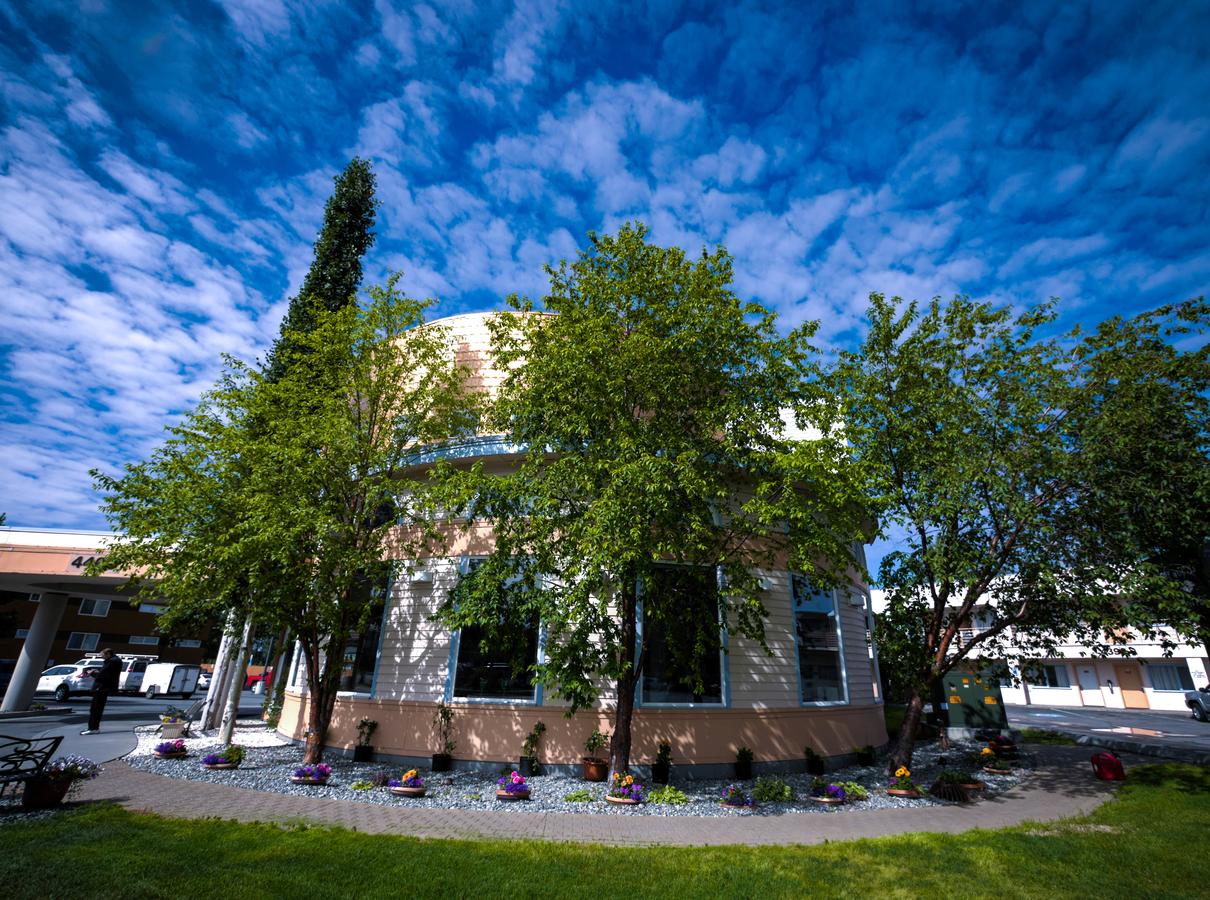 Puffin Inn - thumb 18