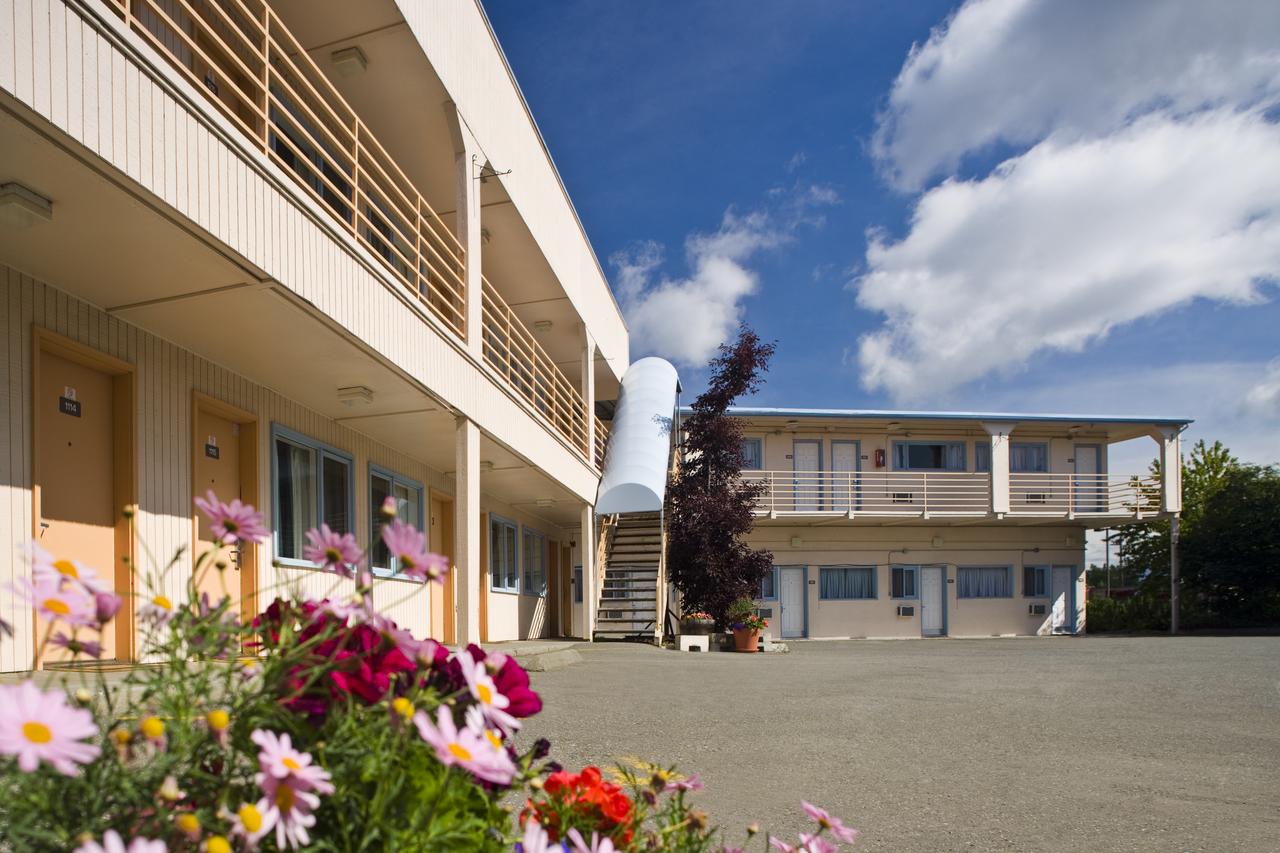 Puffin Inn - thumb 42