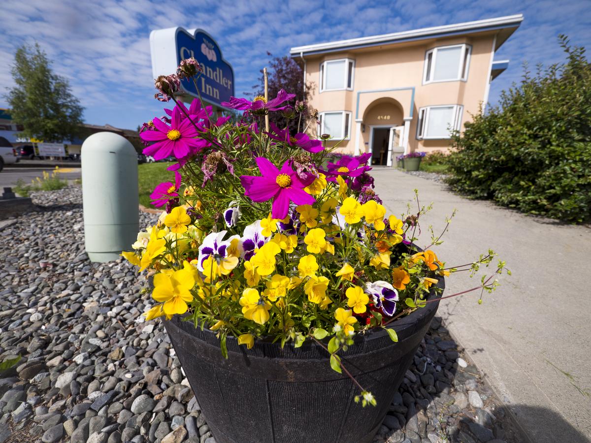 Puffin Inn - thumb 21