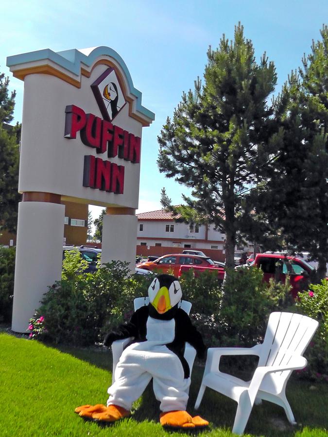 Puffin Inn - thumb 37