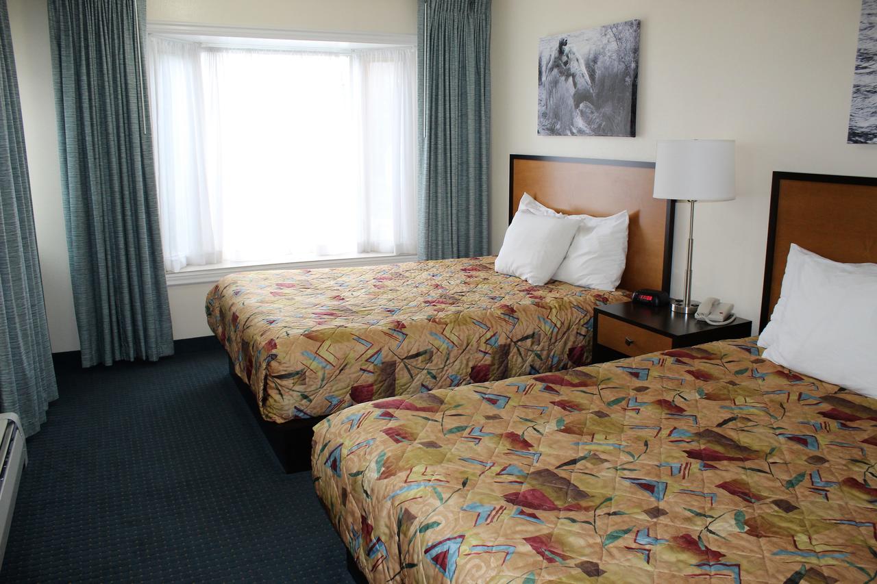 Puffin Inn - thumb 6