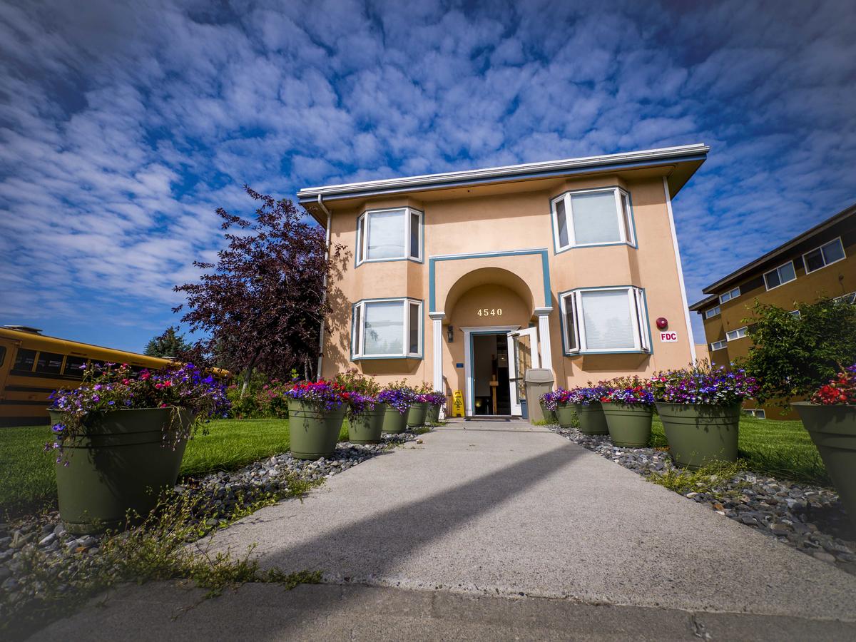 Puffin Inn - thumb 31