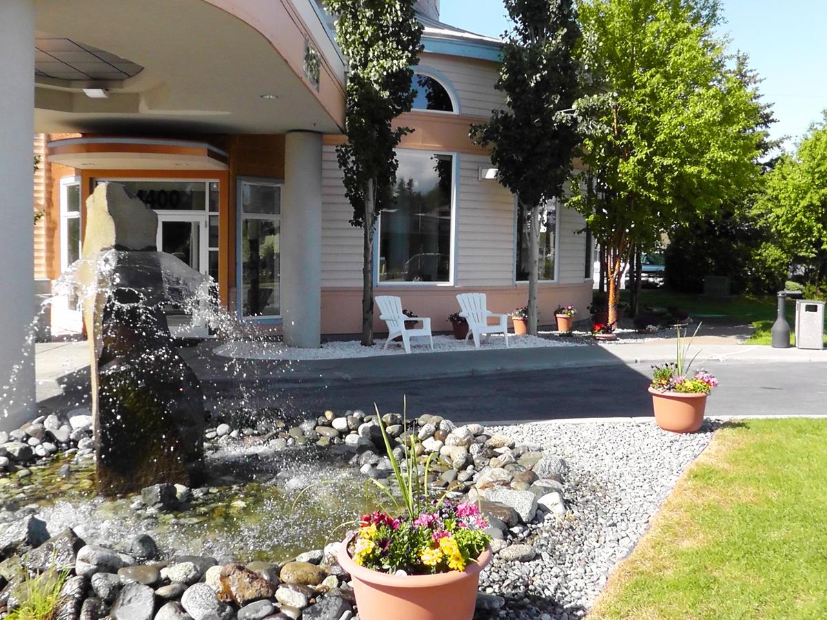 Puffin Inn - thumb 39