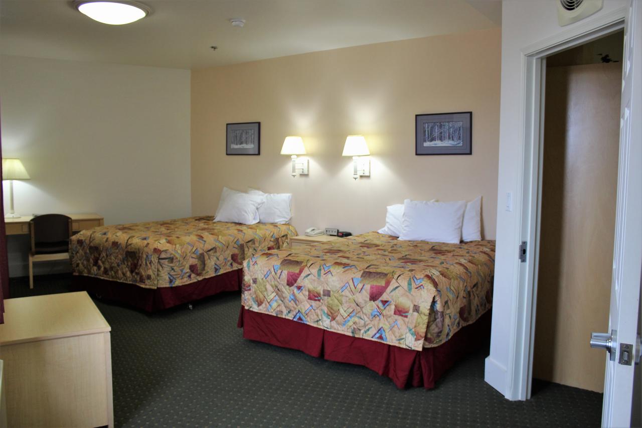 Puffin Inn - thumb 11